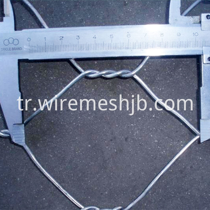 Galvanized Chicken Wire Mesh